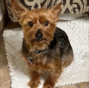 Meet your Posher, Jo-ellen